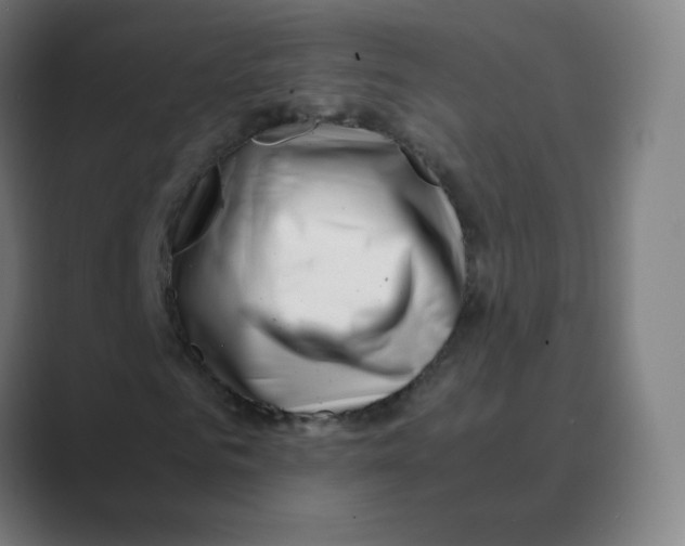 X0000088460961200706191326