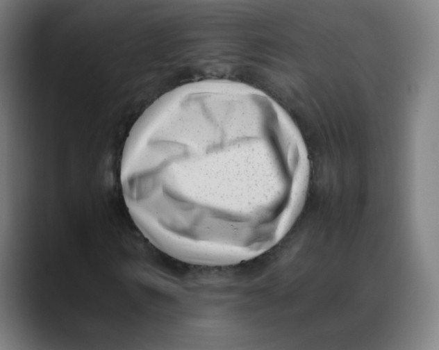X0000088460962200706191326