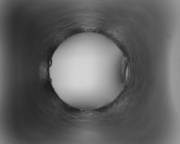 X0000088460963200706191326