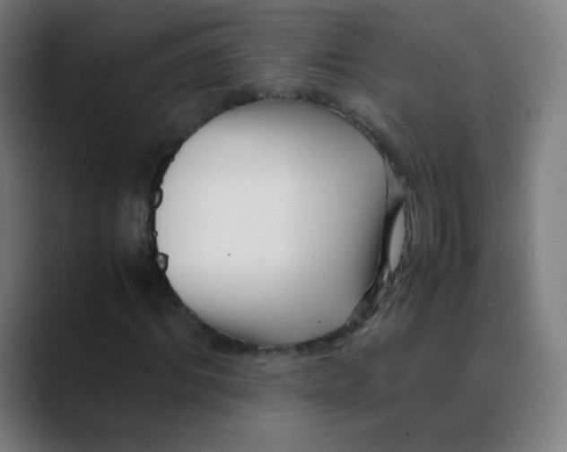 X0000088460964200706191326