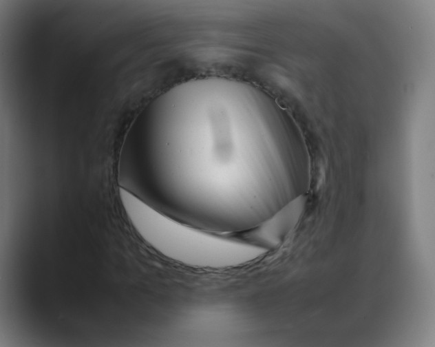 X0000088460965200706191326