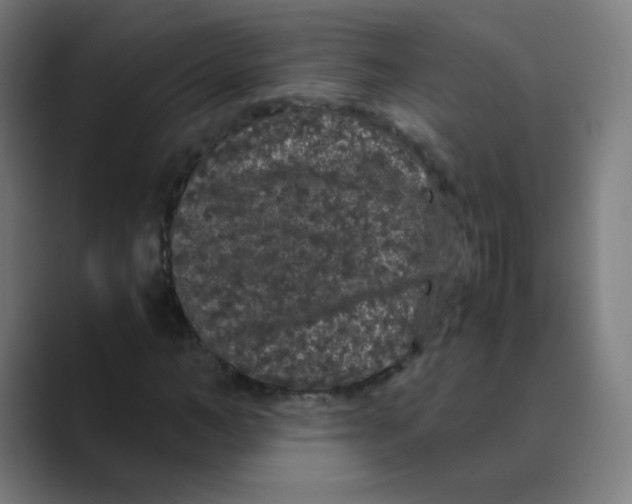 X0000088460966200706191326