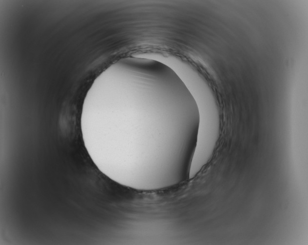 X0000088460968200706191326