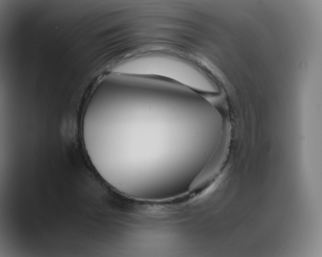 X0000088460969200706191326