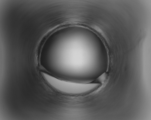 X0000088460973200706191326