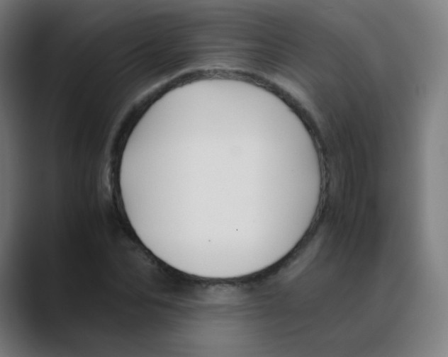 X0000088460974200706191326