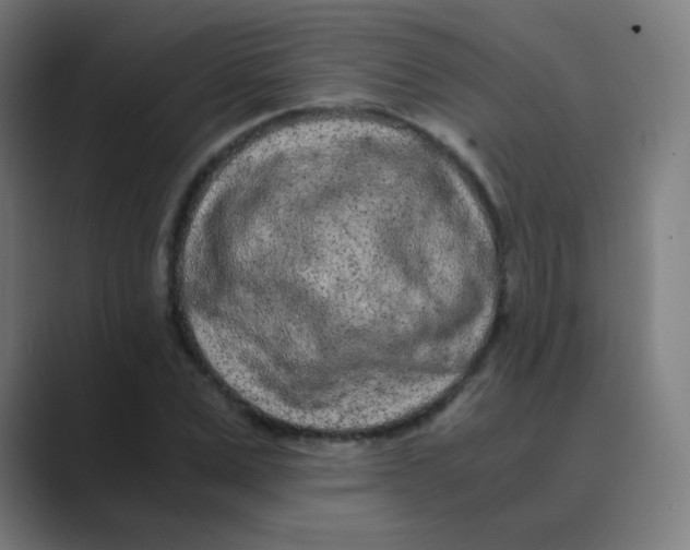X0000088460975200706191326