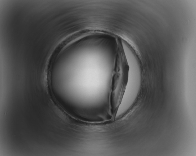 X0000088460976200706191326