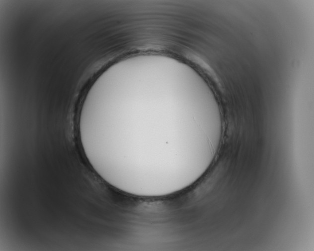 X0000088460978200706191326