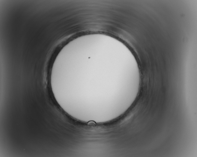 X0000088460979200706191326