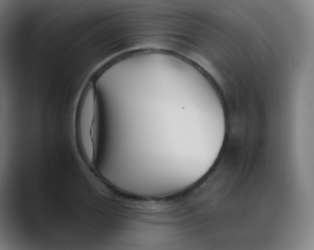 X0000088460980200706191326