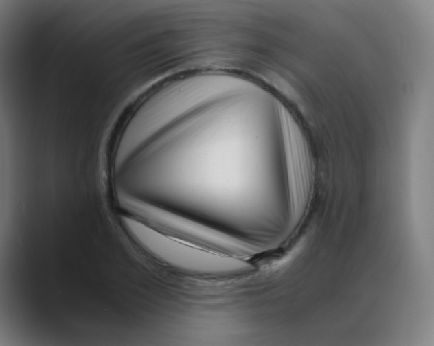 X0000088460981200706191326