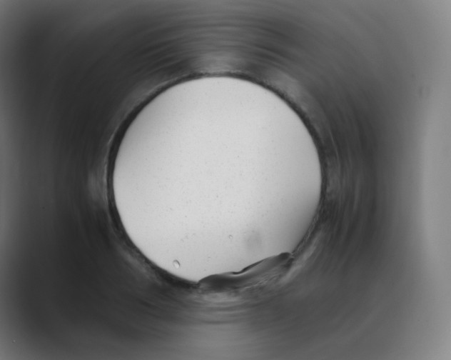 X0000088460986200706191326