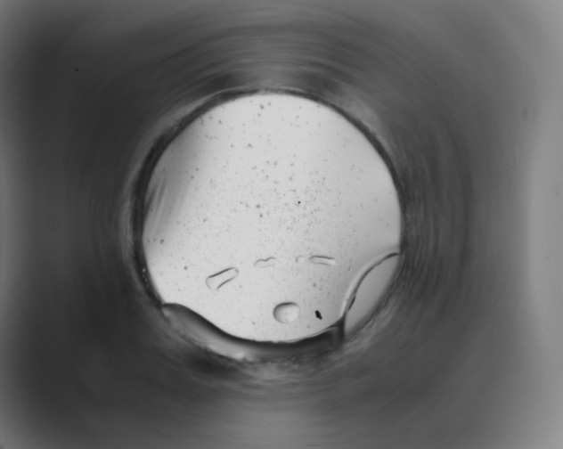 X0000088460987200706191326