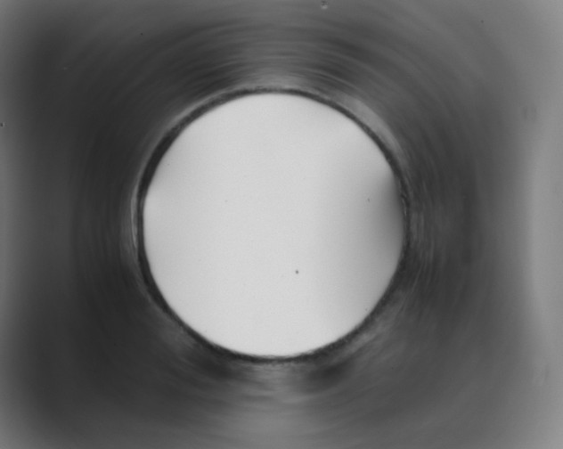 X0000088460988200706191326
