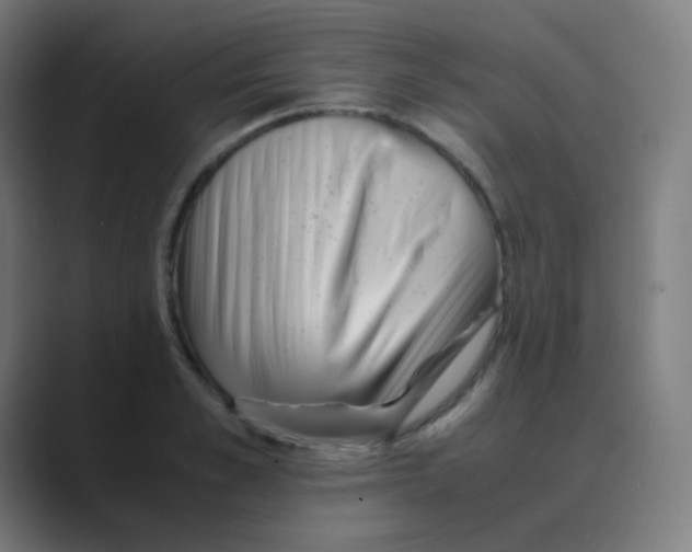 X0000088460989200706191326