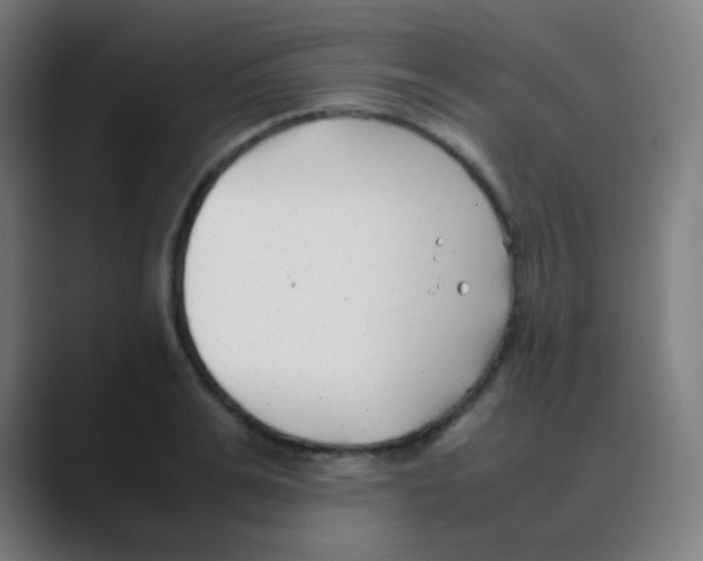 X0000088460991200706191326