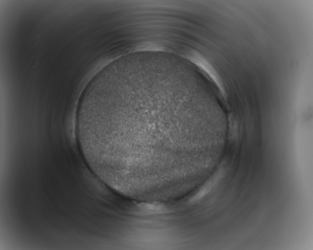 X0000088460994200706191326