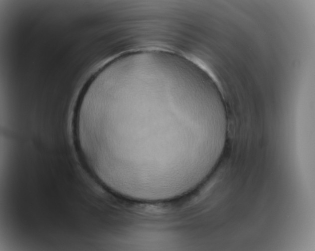 X0000088460995200706191326