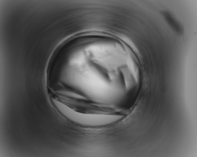 X0000088460996200706191326