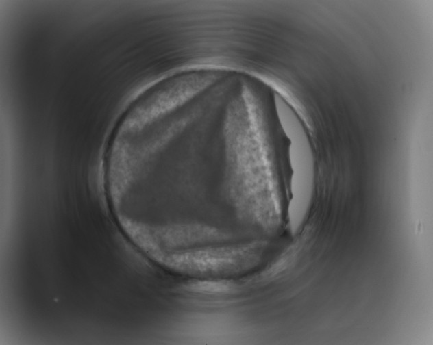 X0000088460998200706191326