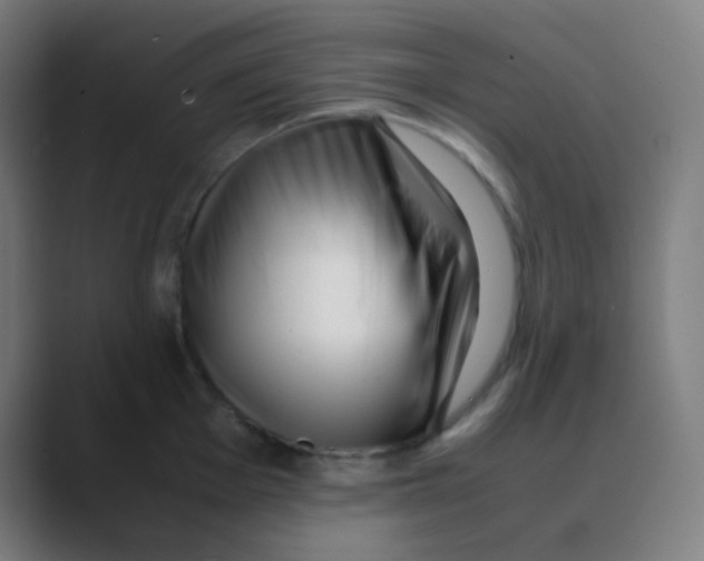 X0000088461001200706191326