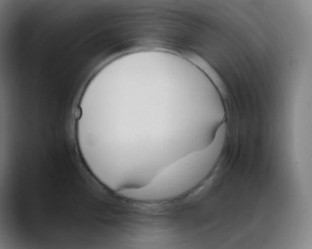X0000088461004200706191326