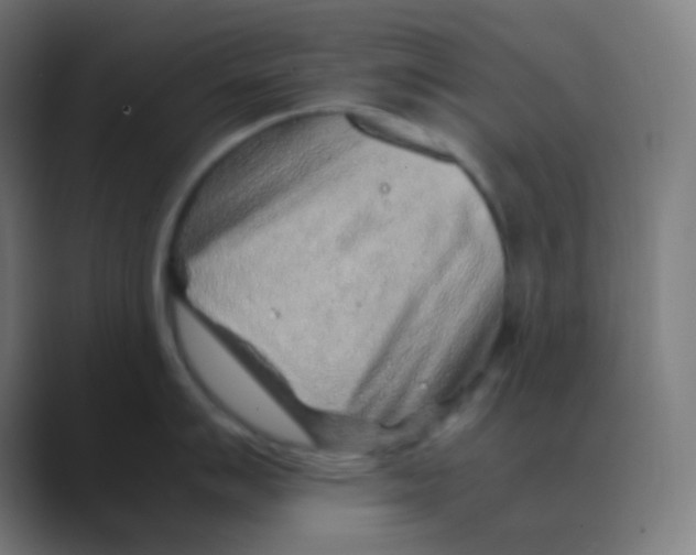 X0000088461007200706191326