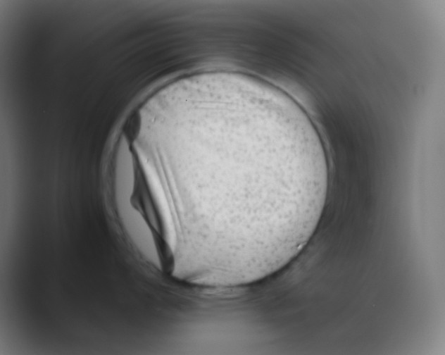 X0000088461008200706191326