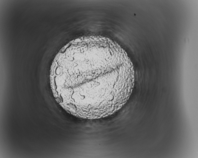 X0000088461009200706191325