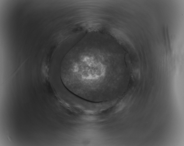 X0000088461010200706191325