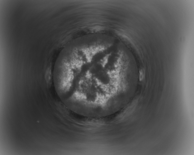 X0000088461011200706191325