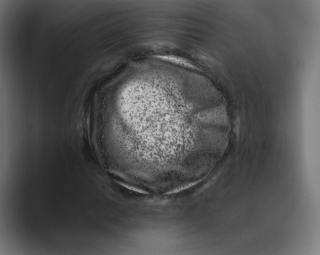 X0000088461014200706191325
