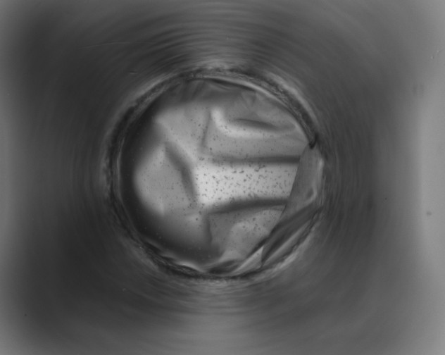 X0000088461018200706191325