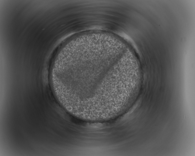 X0000088461019200706191325