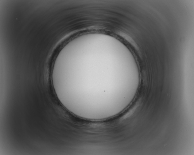 X0000088461021200706191325