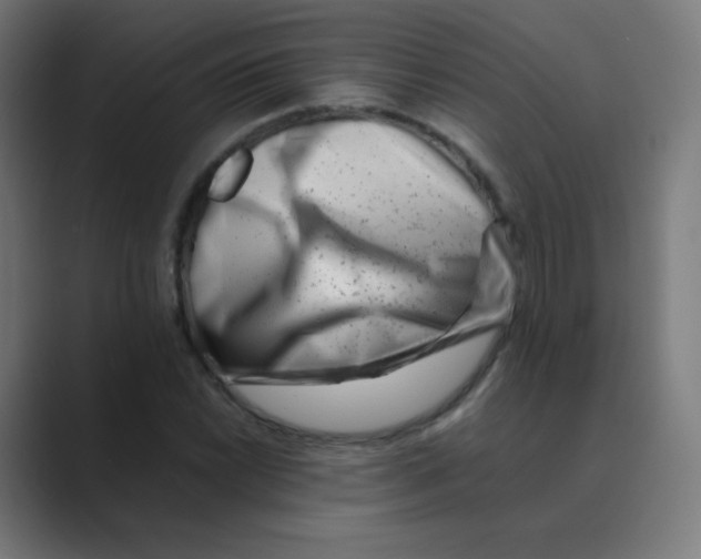 X0000088461022200706191325