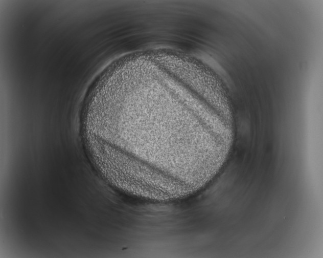 X0000088461023200706191325