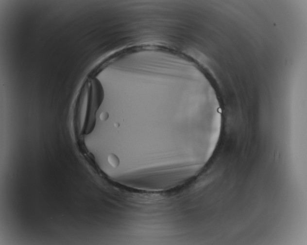 X0000088461024200706191325