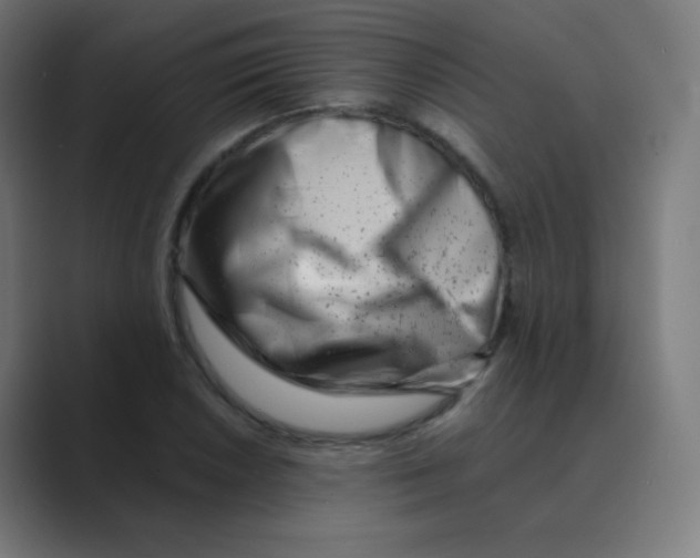 X0000088461026200706191325