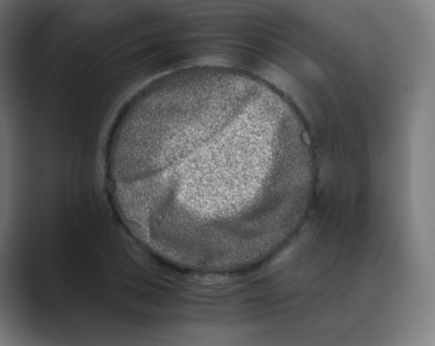 X0000088461027200706191325