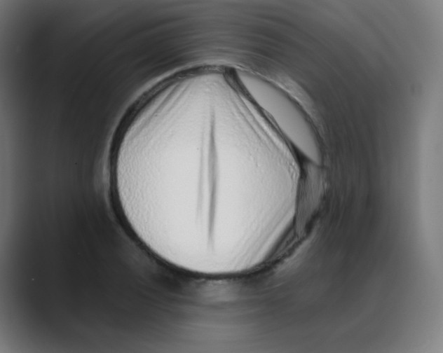 X0000088461028200706191325