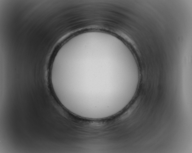 X0000088461029200706191325