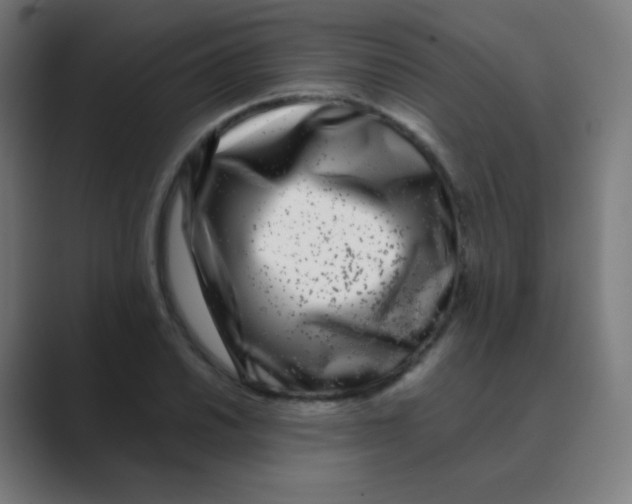 X0000088461030200706191325