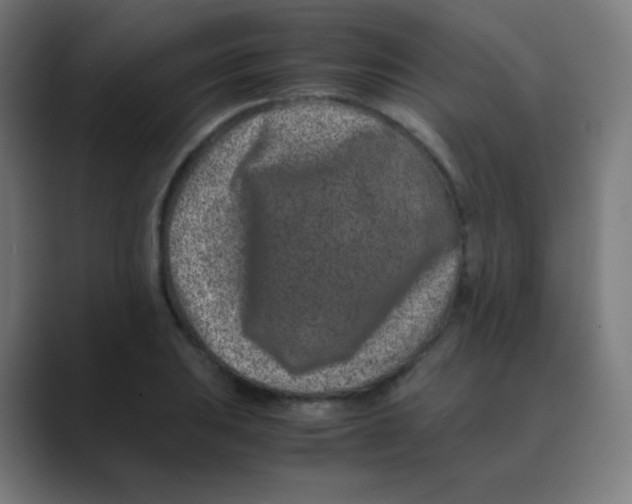 X0000088461031200706191325