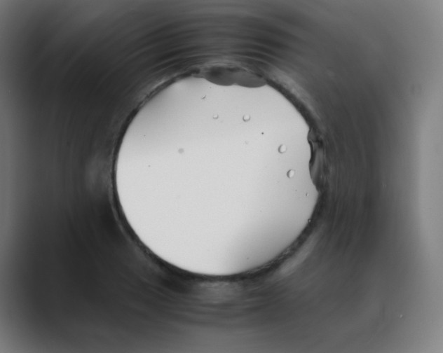 X0000088461033200706191325