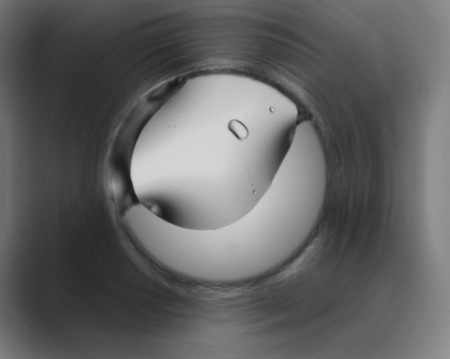 X0000088461034200706191325