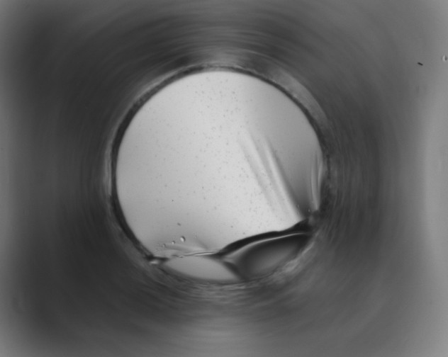 X0000088461036200706191325