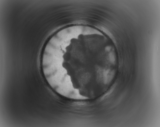 X0000088461037200706191325