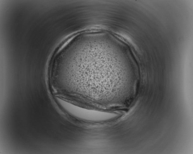 X0000088461038200706191325